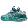 HS1-S Tarther Blast «Misty Pine»