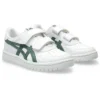 Japón S «White Ivy»