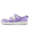 (PS) Amphibian 9 “Lavanda”