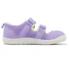 (PS) Amphibian 9 “Lavanda”