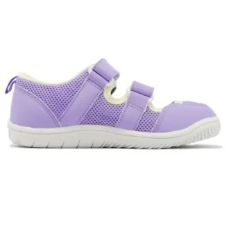 (PS) Amphibian 9 “Lavanda”