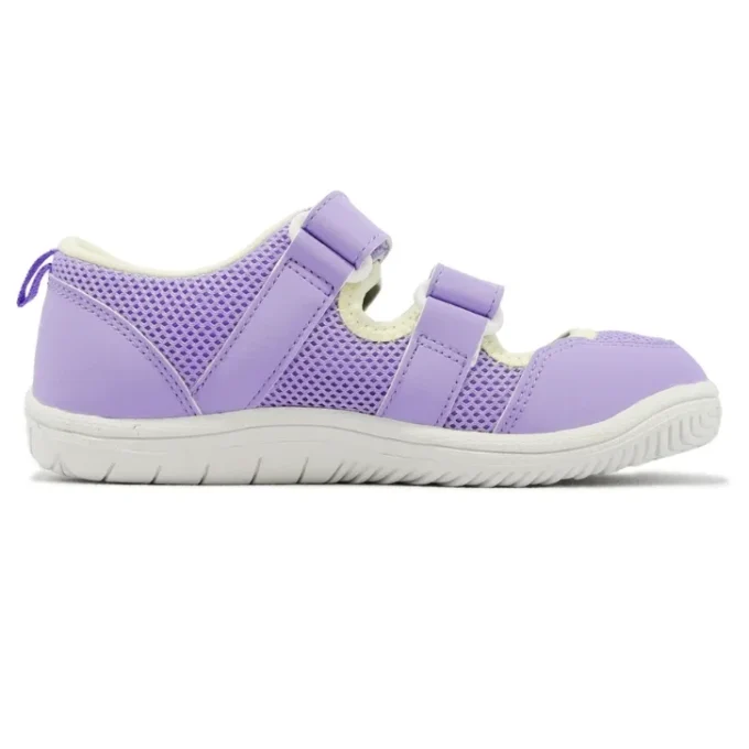(PS) Amphibian 9 “Lavanda”