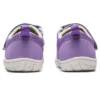 (PS) Amphibian 9 “Lavanda”