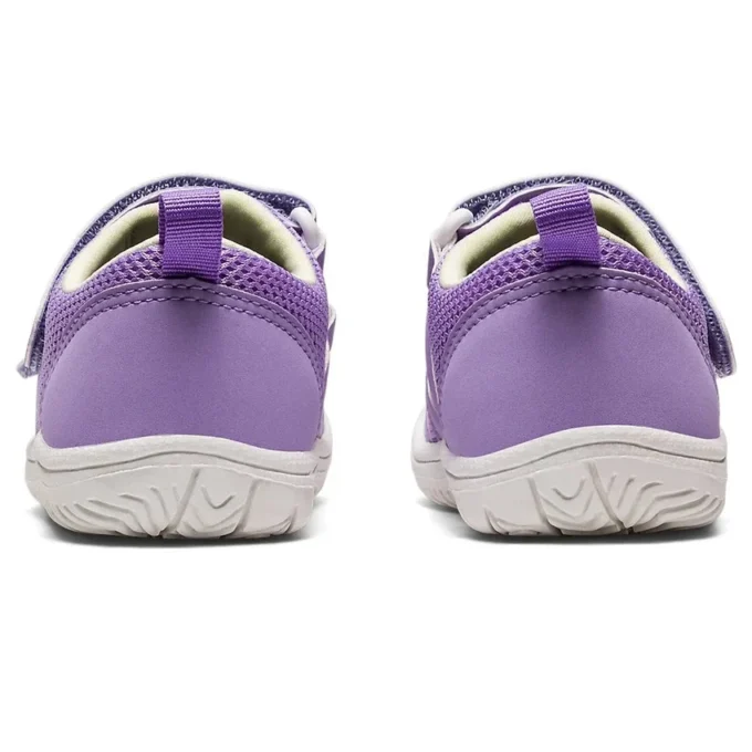 (PS) Amphibian 9 “Lavanda”