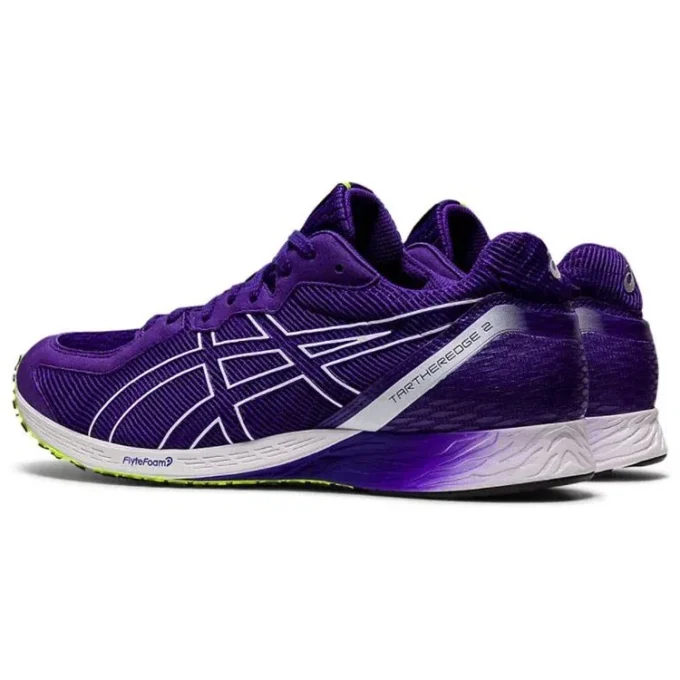 Tartheredge 2 «Gentry Purple»